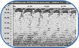 image (4)